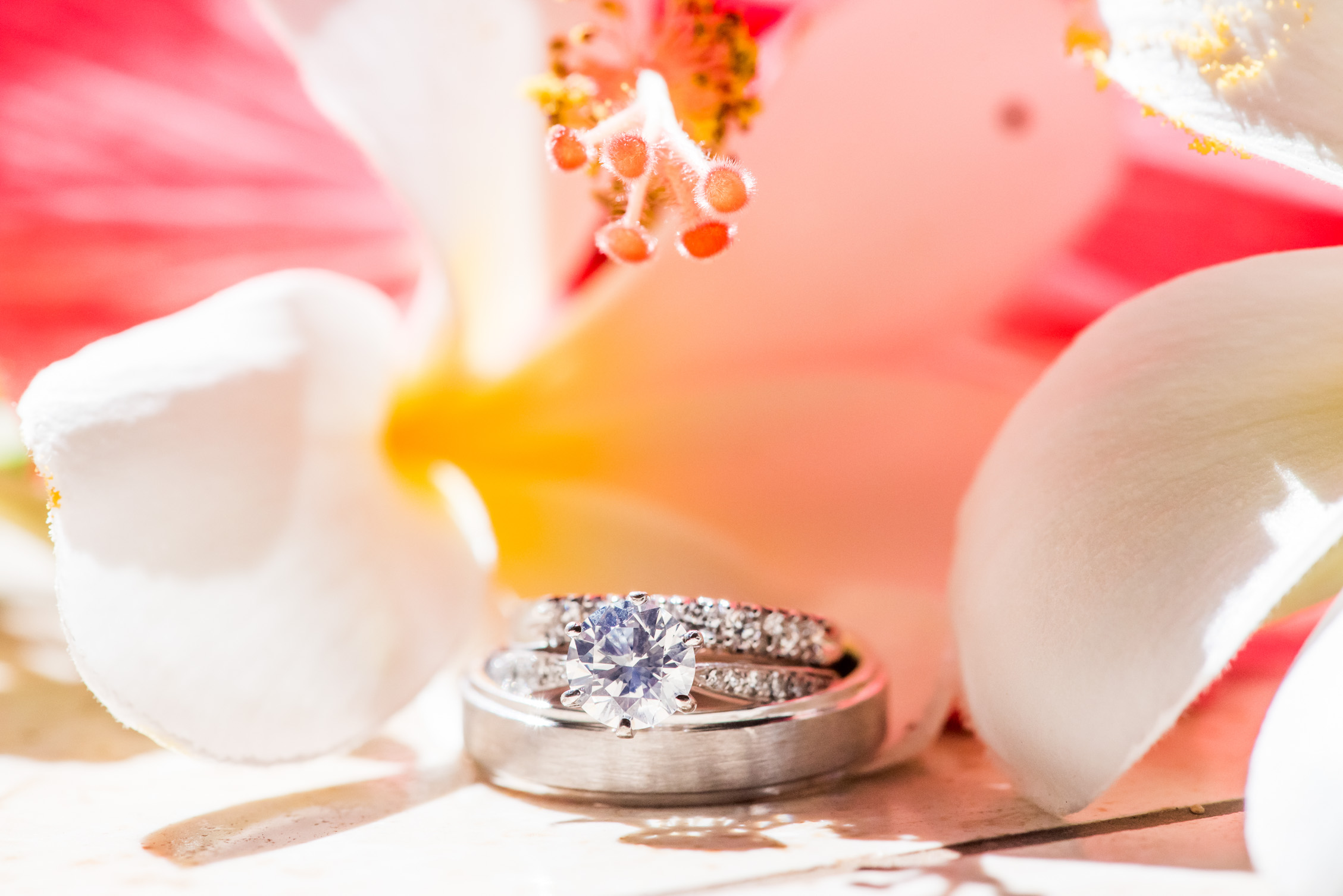 close up of wedding rings and flowers