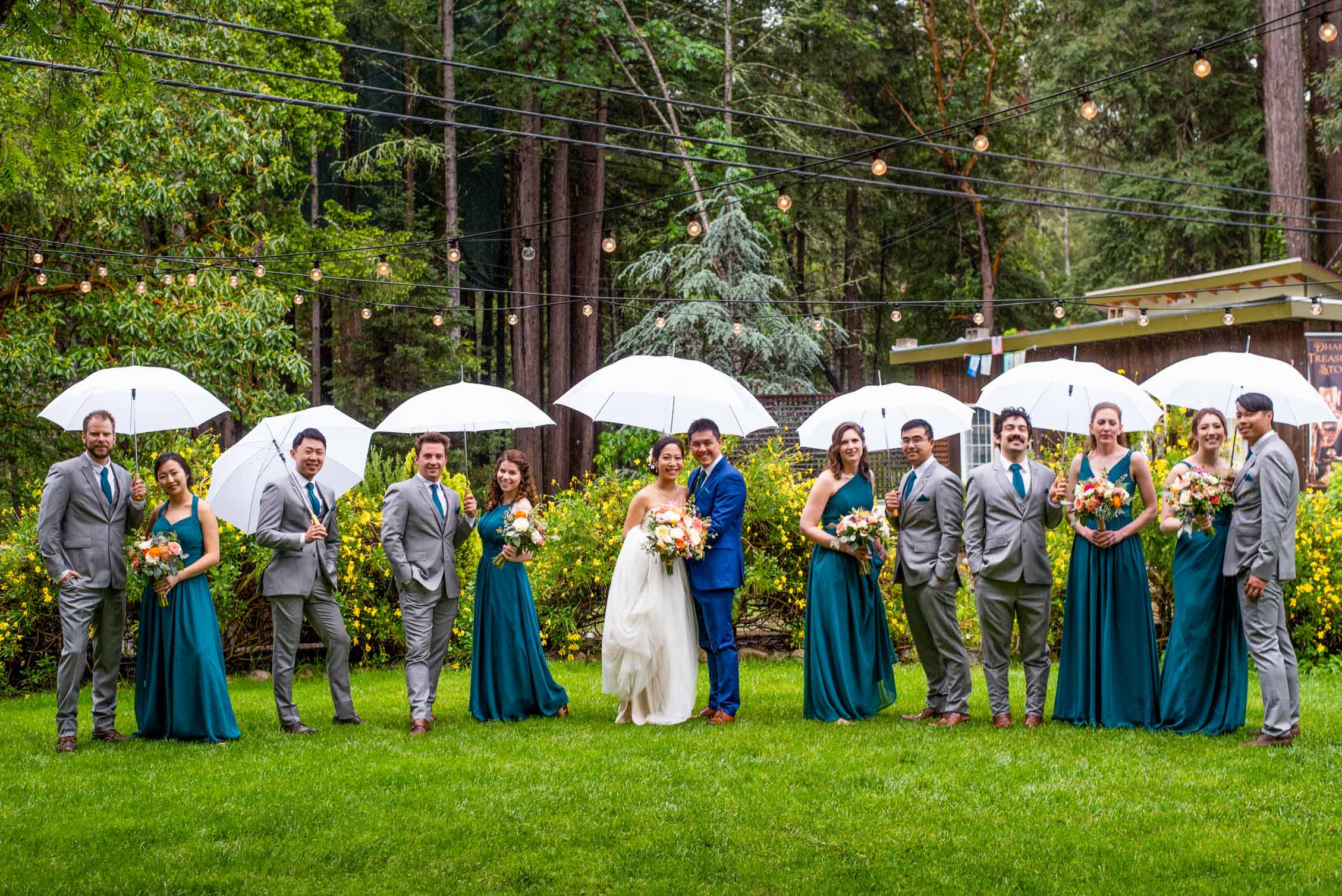 Large wedding party in teal and gray on redwoods lawn with string lights