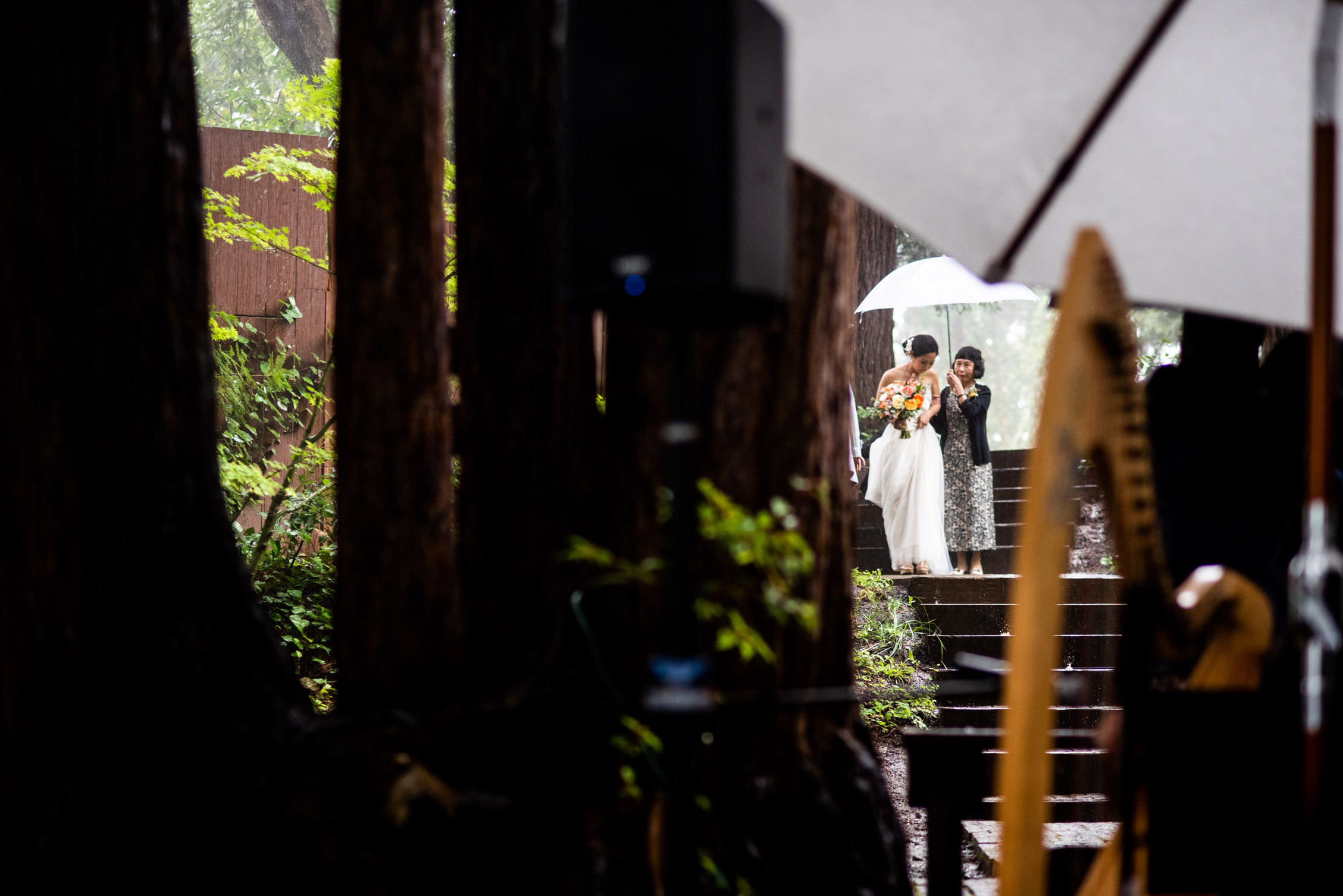 The brides mother holds umbrella for bride entrance at redwoods wedding