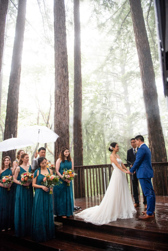 Bride and groom amongst giant redwoods in the rain