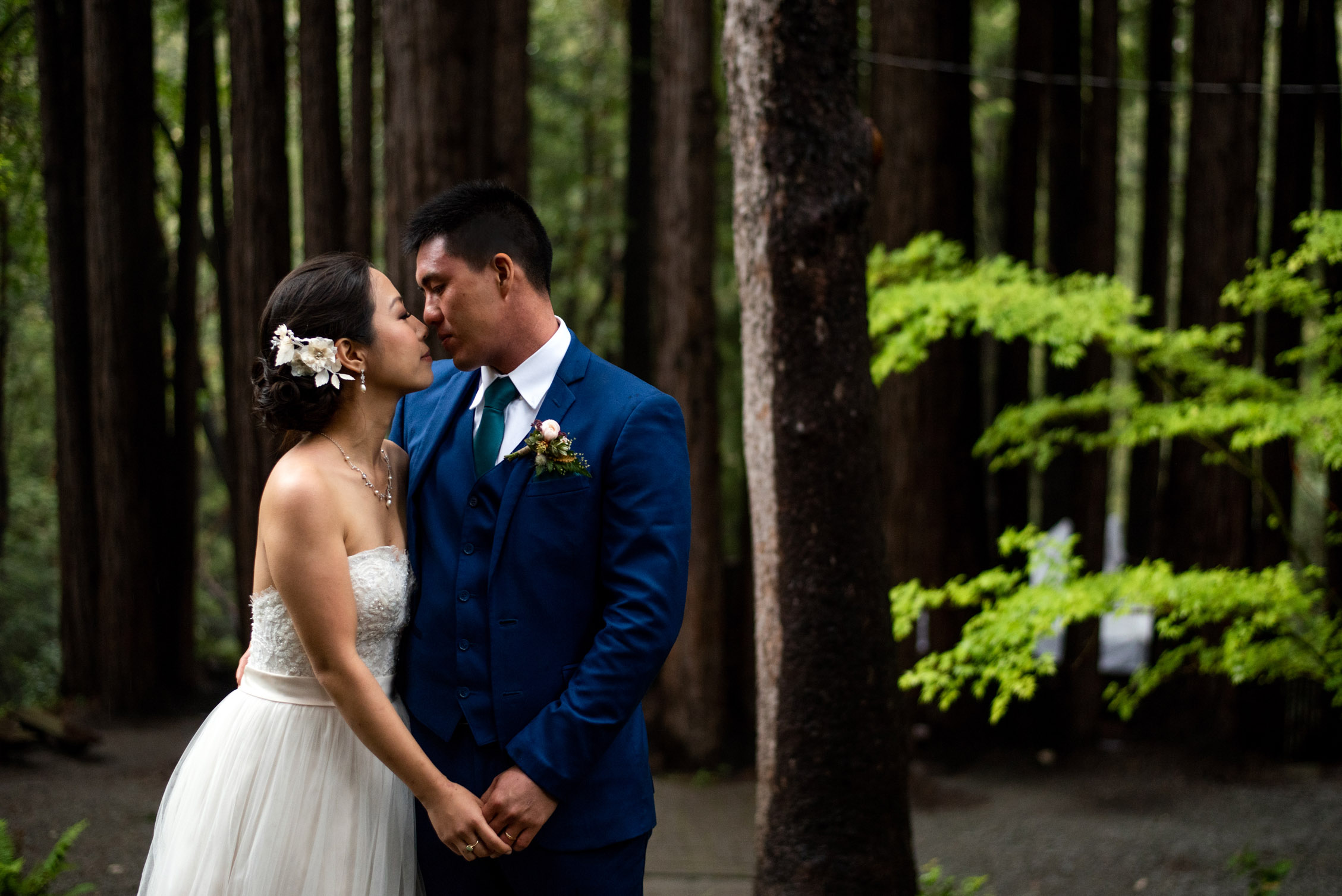 Wedding couple in the redwood forest