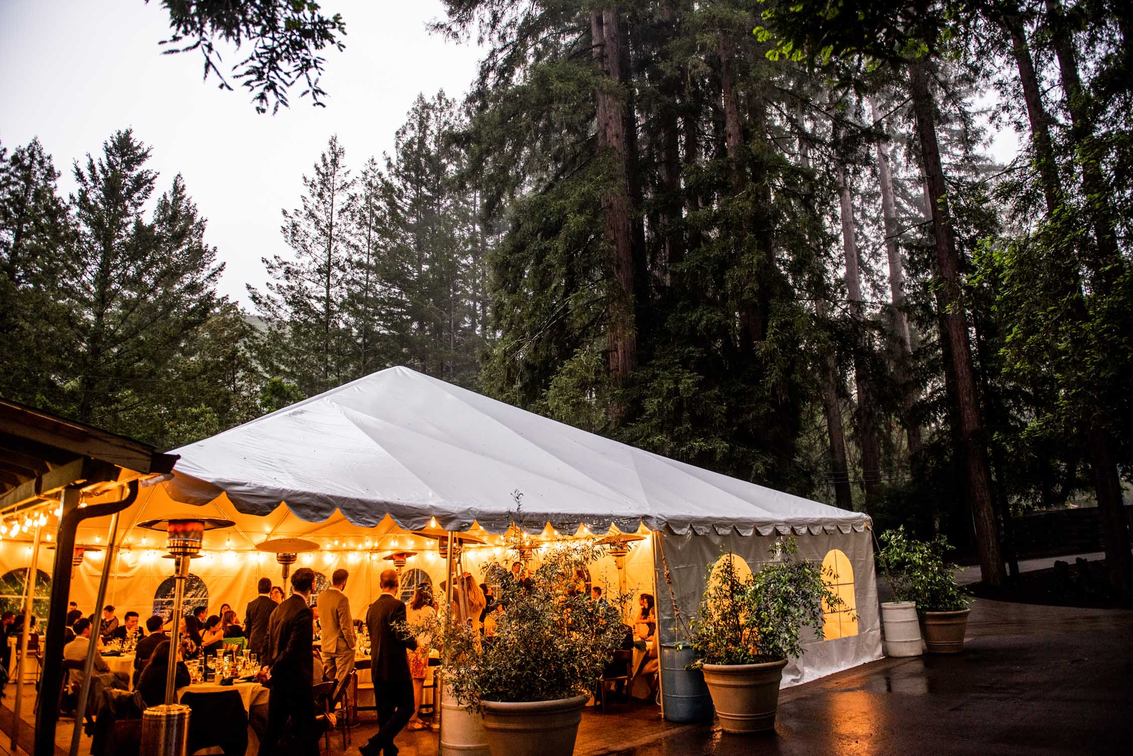 Wedding tent lit with string lights in the redwood forest